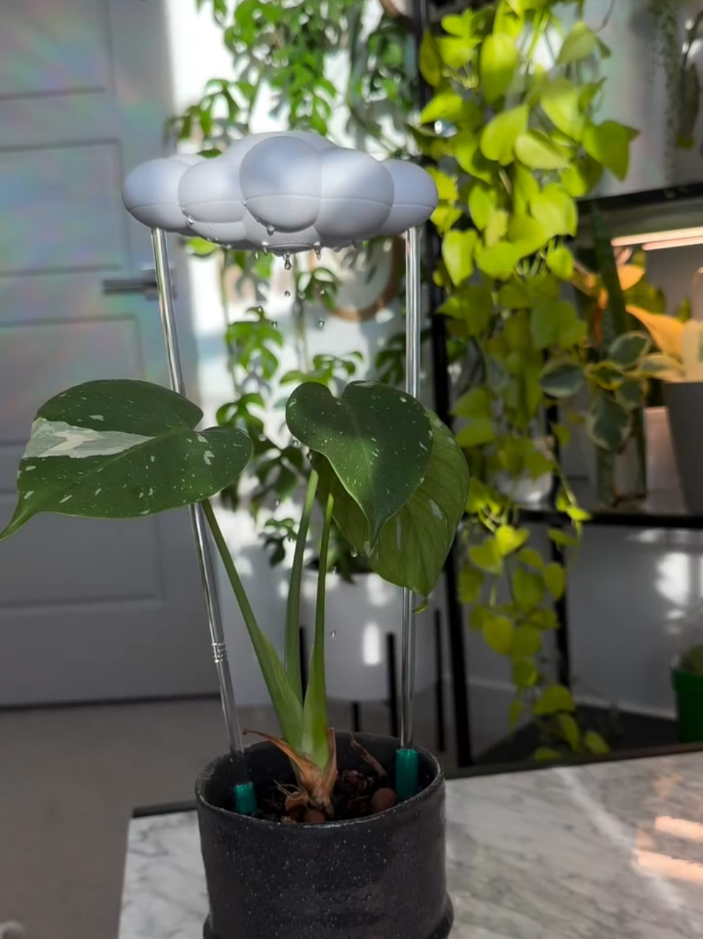 👉 Link no primeiro comentário ou comente 