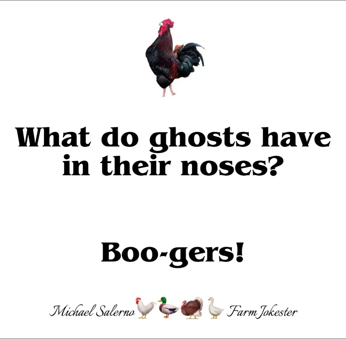 BOO! Gesundheit! 👻 #Halloween #Humor #Michaelsalerno #Fall #Dadjokes
