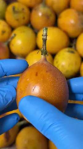 Granadilla finally In stock 🤤😮‍💨.  Sweet, and refreshing! Visit us in store or order online!  www.sasounproduce.com 5116 Santa Monica Blvd  LA, CA, 90029.  #fruits #fyp #tropical #exotic #asmr 