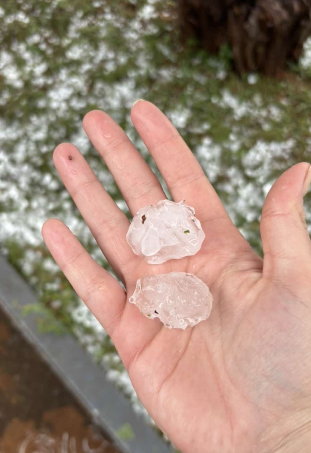 chuva de granizo em Luz MG #chuva #granizo 