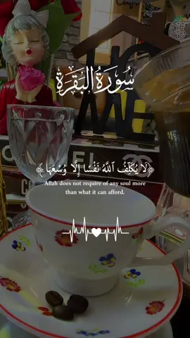 #سورة البقرة#وافوض_امري_الى_الله_ان_الله_بصير_بالعباد #اللهم_صل_وسلم_على_نبينا_محمد #يسعدلي__اوقاتڪۘم #CapCut  