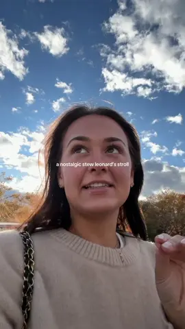 cider donuts, 10/10 #stewleonards #groceryshopping 