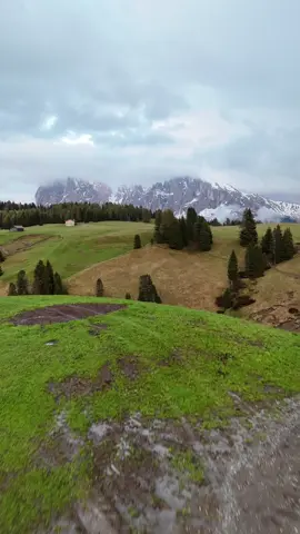 12183395_1080_1920_30fps