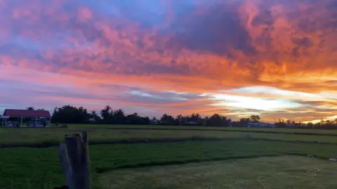 Cắt hai lần nữa là ăn Tết #tet #baclieu #mientay #xhhhhhhhhhhhhhhhhhhhhhhh 