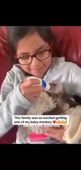 #monkeys #capuchino #monkeysoftiktok #touchdown #delivery #capuchinmonkey #fyppppppppppppppppppppppp 