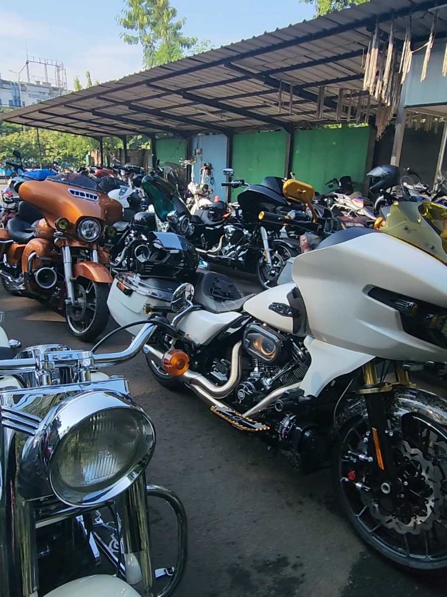 satmori pagi pagi cerah ❤️❤️ #harleydavidson #ride #moge 