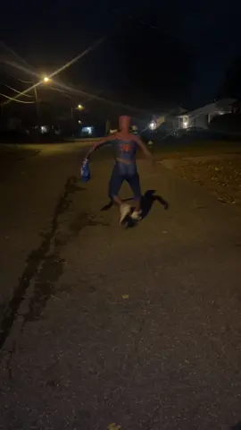 #spiderman #halloween #spidey #halloween costumes 