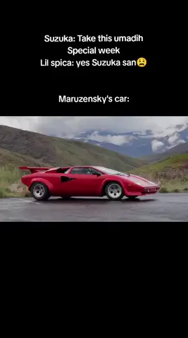 We all love our grandma‼️(lost all my carats on her banner😔) #fyp #umamusume #maruzensky 