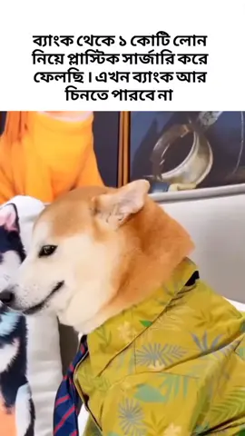 I'm sooo brilliant 🤝 #memes #dogmeme #viral 