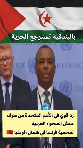 الصحراء الغربية  #الصحراءالغربية✌🇪🇭  #westernsahara #unitednations 
