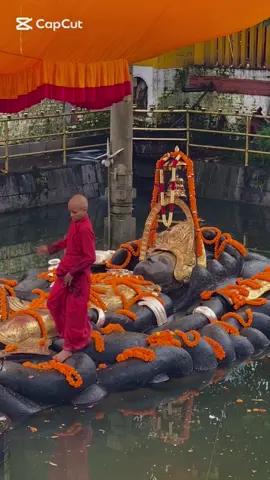 Through ocean deep and heavens blue, All beings bow in prayer to You. Protect us, guide us, night and day Bishnu🪷, show the righteous way. #haribodhiniekadashi