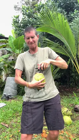 it squirted on me 🤷🏽🤣🫠🥹💦🥥#treehousechicks #coconut #foryou #asmr #wow 