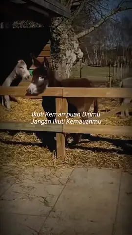 Welcome November  #duniakubercerita #november #storydarman 