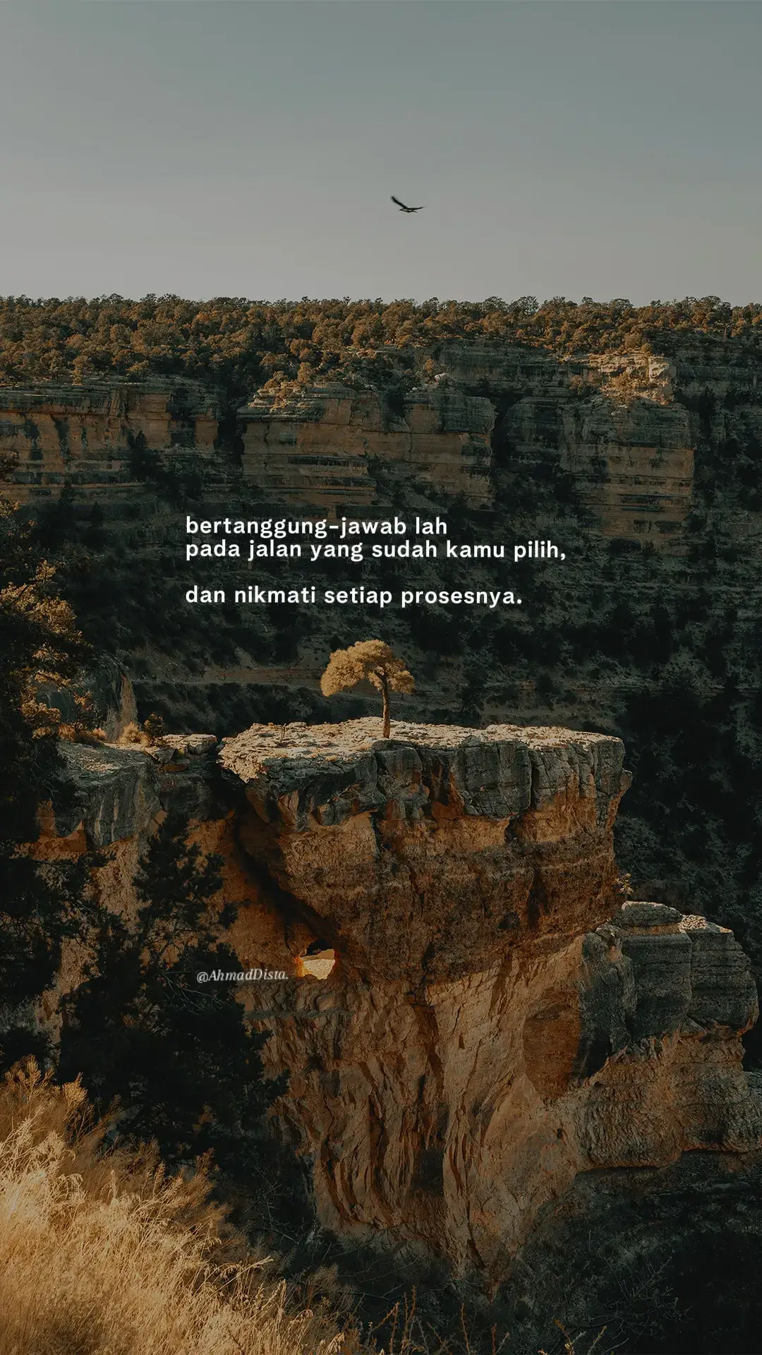 Bahan-bahan untuk 4 porsi📝: ½ ekor ayam, potong 4 bagian. 4 siung bawang putih. 2 cm jahe. 1 buah wortel, potong. 2 buah kentang, kupas lalu potong dadu. 100 gram buncis, buang ujungnya. 2 lembar seledri, potong 2 cm. 2 lembar daun bawang, potong 2 cm. 1 bungkus bumbu kaldu ayam (sesuai selera). 1.5 liter air. 1 sdm margarin. Cara membuat🥢: 1.Rebus ayam beserta jahe hingga empuk menggunakan api sedang. 2.Panaskan wajan dan lelehkan margarin. Lalu tumis bawang putih hingga kekuningan, masukkan ke dalam air rebusan kaldu. 3.Setelah itu, masukkan wortel, kentang, dan buncis. Tambahkan bumbu kaldu (sesuai selera) dan masak di atas api kecil hingga matang. 4.Kemudian tambahkan daun bawang dan daun seledri, lalu matikan api.  5.Sajikan dalam mangkuk dan taburi dengan bawang merah goreng. Santap selagi hangat. Selamat mencoba dan selamat menikmati!!! #katakata #4u #storytime #fyppppppppppppppppppppppp #xzyabc 