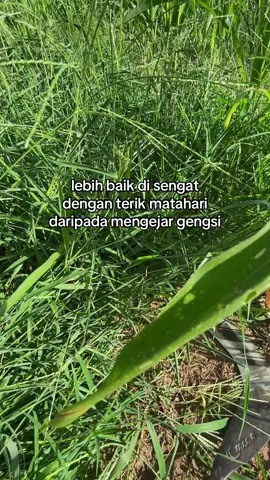 #suketbalap🌾 #fyp #tukangaretgayabebas #sobatngaret #masukberanda 