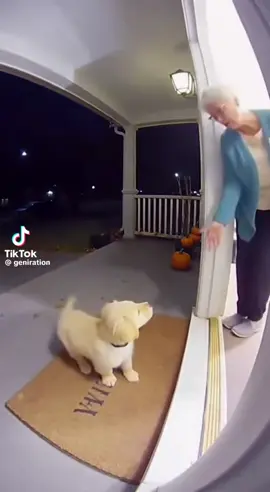 JAJAJAJAJA se fue con el señor la abuelita #ia #sora #perro #halloween 