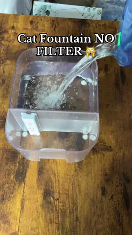 This cat fountain doesn’t need a filter and we’re loving it… a pet fountain that has fresh water all the time ☺️ #catwaterfountain #cat #petfountain #catfountain #tiktokshopcreatorpicks 