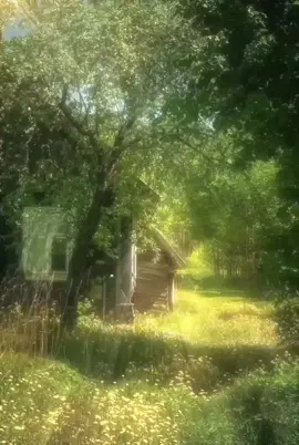 lạc vào khu rừng hoa #xuhuong #nangamtrongtim