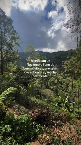 Por un noviembre mejor 🤞🏻✨ #noviembre #motivacion #fyp 