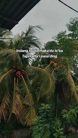 #storymandar #sulbarpride🏝🔥 #polmanpride🏝🔥 #trending #sadvibes🥀 