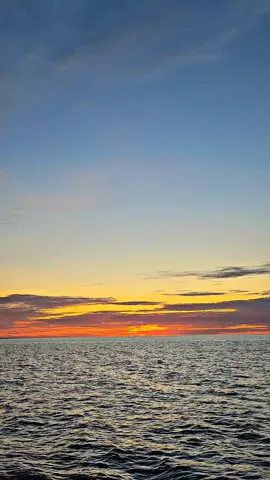 hellow matahari 🌞 #fyp 