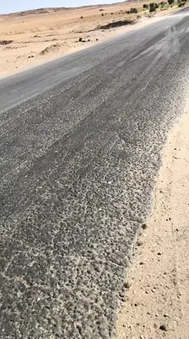 تمنراست ~ايليزي ~جانت~عين صالح 🌴🌴🤍💙