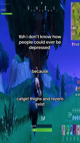 lowkey all you need #fortnite #releatable #catgirl #rezero #stretchtok 
