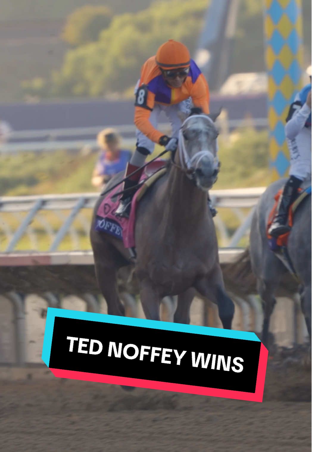 TED NOFFEY wins the 2025 Breeders’ Cup Juvenile!!! #BC25