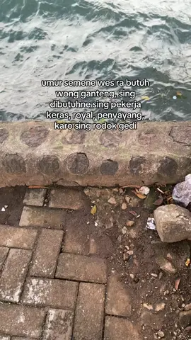 gedi tanggungjawabe #promomakanharian #fypシ゚ #masukberanda 