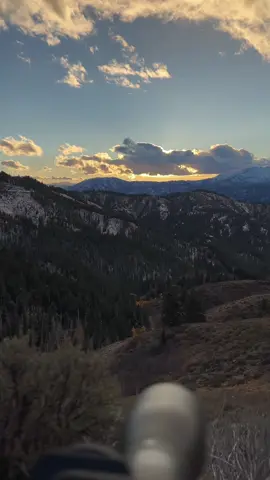 Wait for it 🫣 #elk 