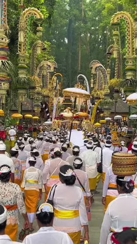 Begitu Indah nya😍 #desaadatsangeh #purapucaksari #sangehmonkeyforest #bali 