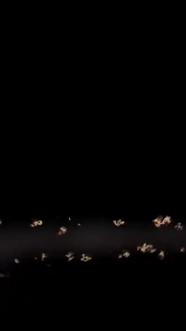 မသိကြဘူး Crd...