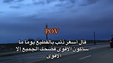 #عبارات #harb #fypp #منشن #خربانه_خربانه 