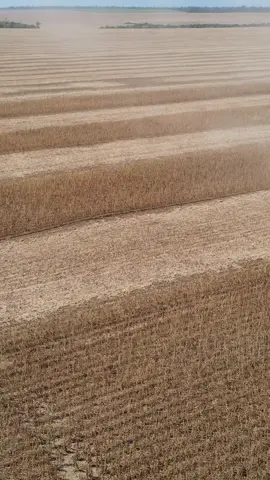 13697616_720_1280_60fps