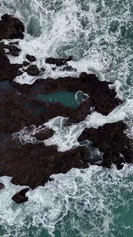 12019246_720_1280_25fps