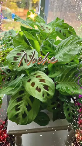 #feliznoche #bendiciones 