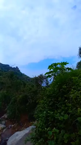 #اكسبلور  #منبه#الحازه#