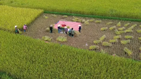 Pò Đồn nhìn từ trên cao  #xu #xuhuongtiktok #xuhuong 