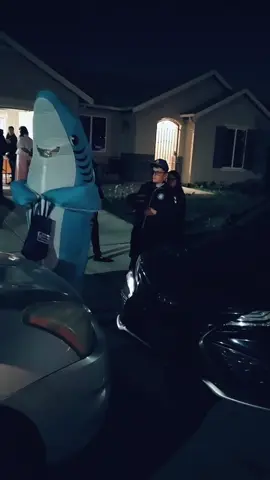 #halloween #shark 