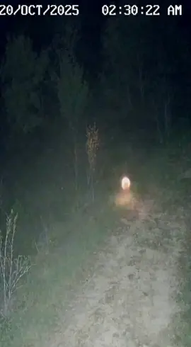 #catrinachallengetiktokshop #diademuertostiktokshop #paratiiiiiiiiiiiiiiiiiiiiiiiiiiiiiii #fyp 