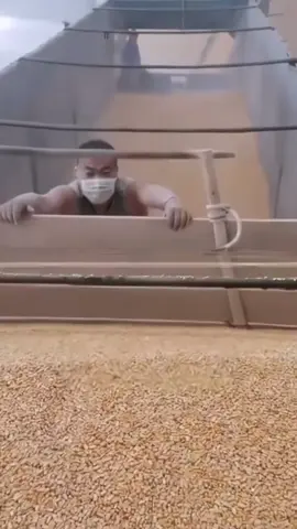 How'd he manage to do that? Can someone explain? #creative #skill #peanut #goodidea #farmlife #AmazingChinesePeople #interesting #havefun #share Cr: Rednote 1652227305