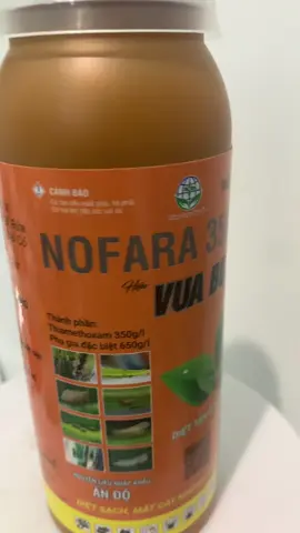 Mọi người cần vào tham khảo #TikTokAwardsVN #thevampirediaries #tiktok #xuhuong 