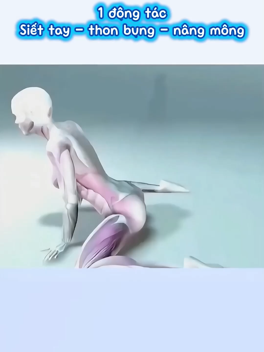 1 động tác 👆🏻👆🏻 Siết tay – thon bụng – nâng mông #xuhuong #trending #viral #tapluyenmoingay #tapluyentainha #eothondangdep #giammo #giamcan