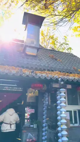 Bắc kinh tới mùa thu rồi mấy bè ơi  Dắt bồ làm 1 chuyến liền thui  Đang đc sale dẻ dề nè 😚 #bắckinh #xuhuong #dulichtrungquoc #xuhuong 