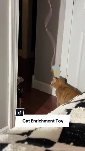 Cats have a natural instinct to HUNT. So LET THEM. Interactive toys are the best way to bring them to their roots #cat #catsoftiktok #cattoy 