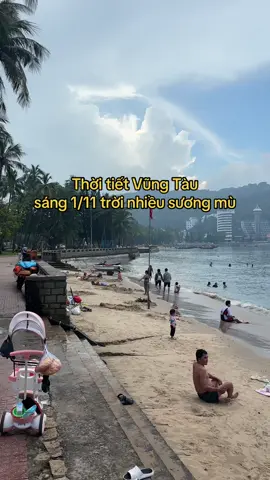 thời tiết Vũng Tàu hôm nay 1/11 nhiều sương mù #thoitietvungtau #vungtau #dulichvungtau #baisauvungtau🏖🏖🏖🌅🌅🌅 #thaptamthang 