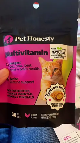 Cat Live Review  10/10  Siskel & Ebert give these supplements 2 thumbs 👍  #catsoftiktok #fyp #petmultivitamins #pethonesty #cathealth 