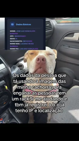 #cachorro #dog #doguinhosdotiktok 