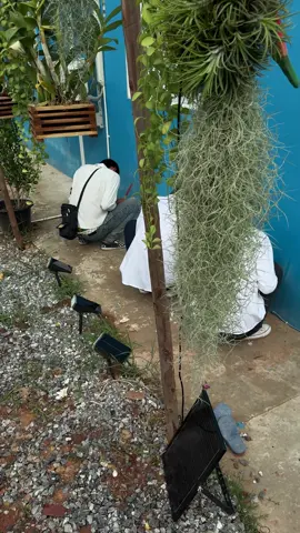 ไหว้โต้ะ 1-11-68❤️ #ขอให้บุญหนุนนําร่ํารวยร่มเย็นเฮงๆปังๆ💸💸👛  #f 