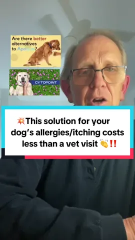 💥Cheaper alternative to Apoquel and Cytopoint for your dog’s allergy and itching issues‼️ 👉FINN Allergy & Itch targets the root cause, with premium natural ingredients that work‼️ . . ##dogswithallergies##itchydog##dogsupplements##dogallergyrelief##tiktokshopcreatorpicks @@Finn Wellness